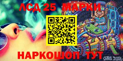 сатива Новокубанск