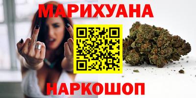 сатива Новокубанск