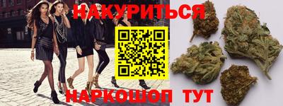 сатива Новокубанск