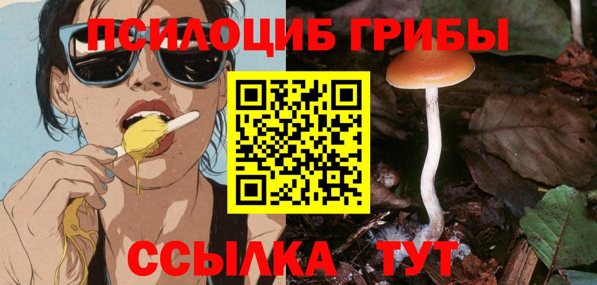 Псилоцибиновые грибы GOLDEN TEACHER Усть-Джегута