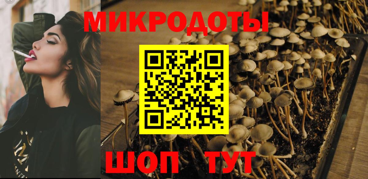 Галлюциногенные грибы MAGIC MUSHROOMS  Вход с VPN  Усть-Джегута  Псилоцибиновые грибы Psilocybine cubensis 