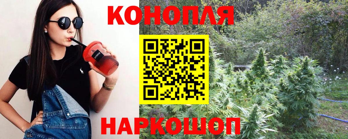 Конопля OG Kush Усть-Джегута